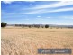 Gundaroo Babbinboon Road, Tamworth NSW 2340