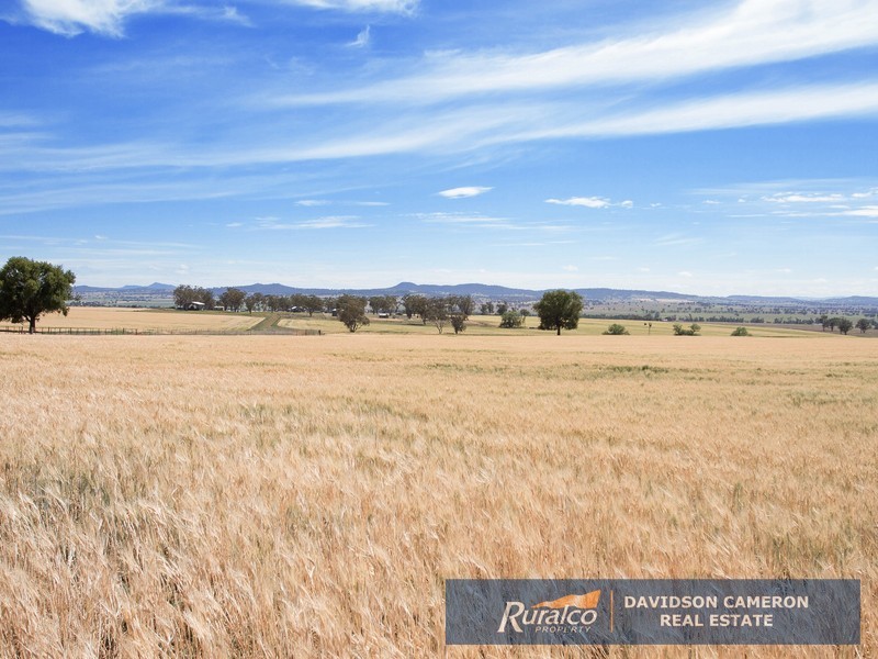 Gundaroo Babbinboon Road, Tamworth NSW 2340