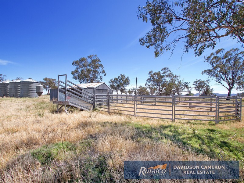 Gundaroo Babbinboon Road, Tamworth NSW 2340
