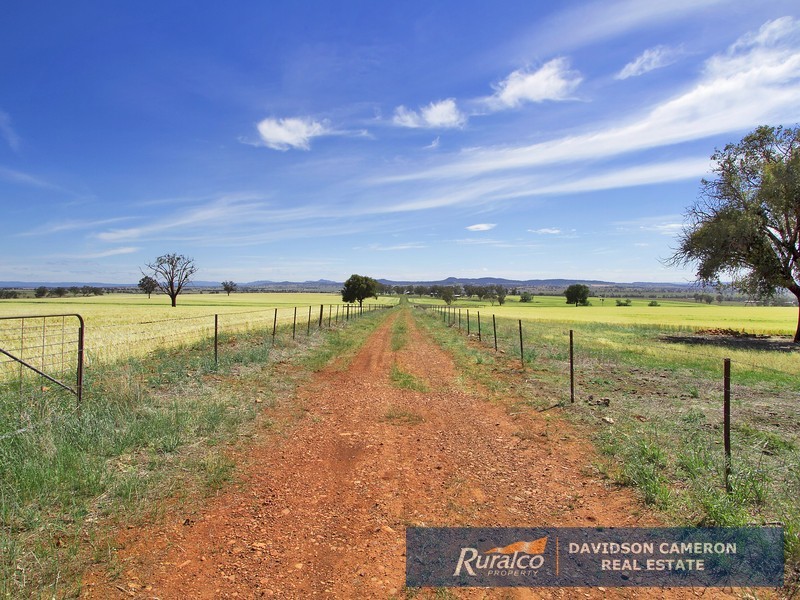 Gundaroo Babbinboon Road, Tamworth NSW 2340