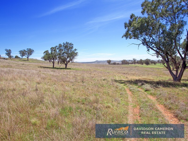 Gundaroo Babbinboon Road, Tamworth NSW 2340