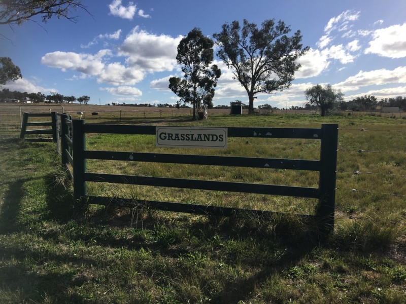 Grasslands 14509 New England Highway, Tamworth NSW 2340