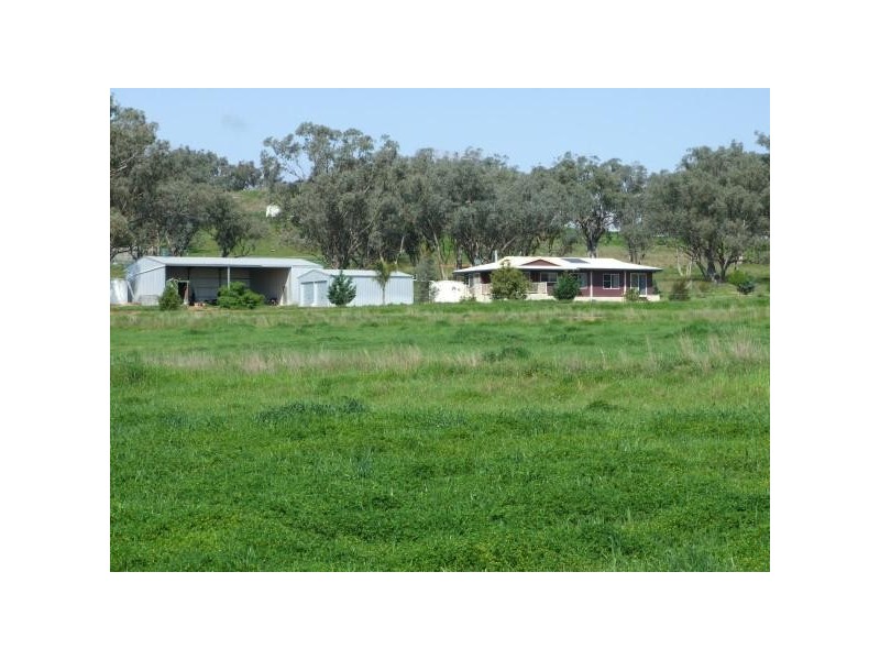 Grasslands 14509 New England Highway, Tamworth NSW 2340