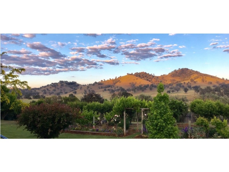 1 Herring Street, Nundle NSW 2340