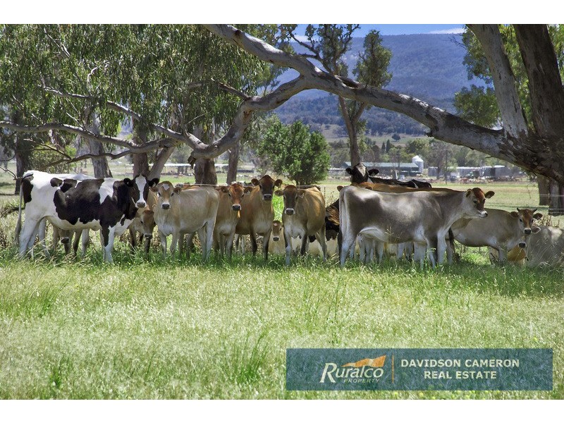 1265 Manilla Road, Tamworth NSW 2340