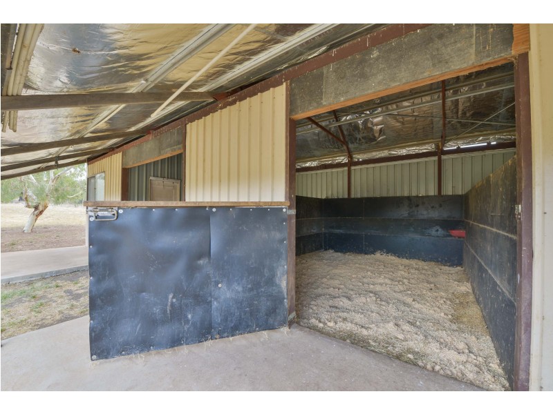 3551 Werris Creek Road, Currabubula, Tamworth NSW 2340
