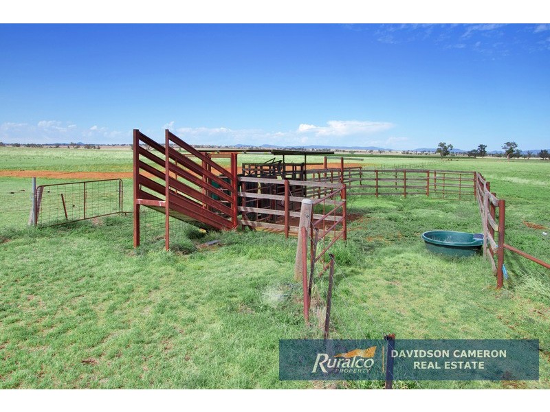 535 Appleby Lane, Tamworth NSW 2340