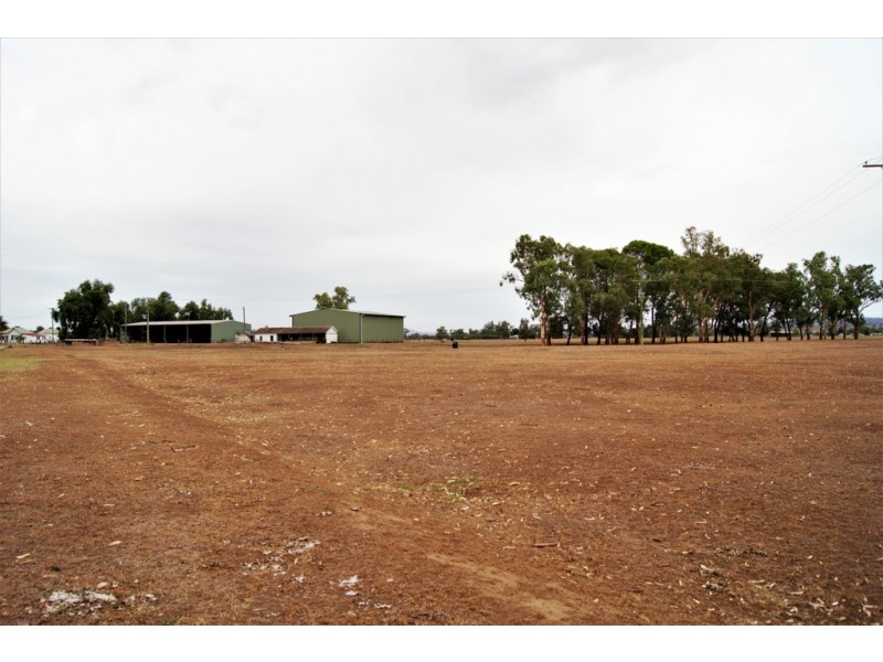 “Jansens” 63 Blairmore Lane, Aberdeen NSW 2336