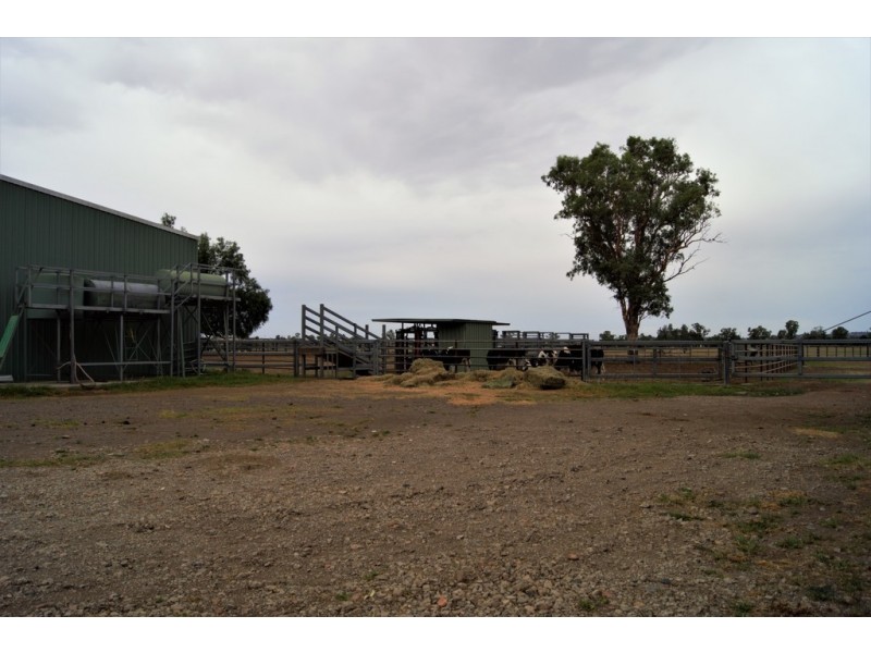 “Jansens” 63 Blairmore Lane, Aberdeen NSW 2336