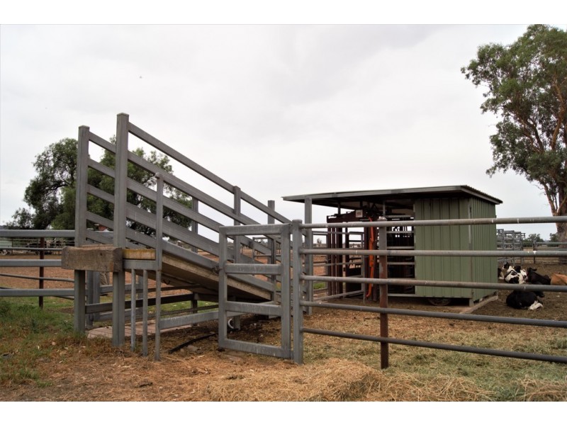 “Jansens” 63 Blairmore Lane, Aberdeen NSW 2336