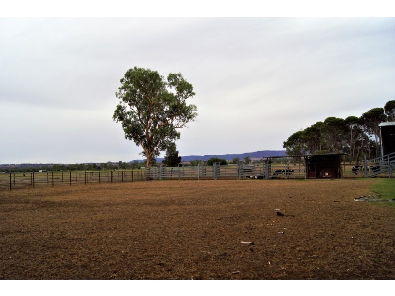 “Jansens” 63 Blairmore Lane, Aberdeen NSW 2336