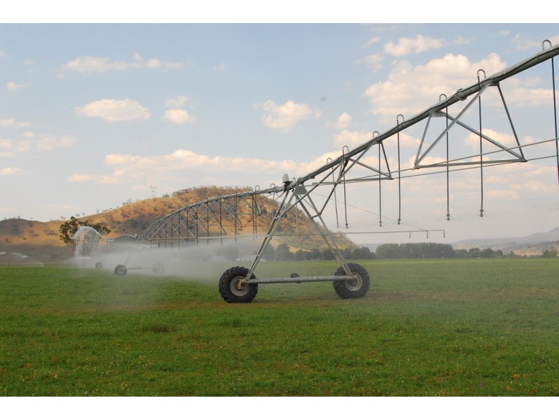 Narelle Park Segenhoe Road, Aberdeen NSW 2336