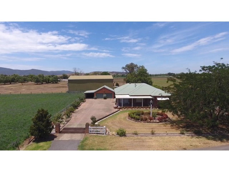 Narelle Park Segenhoe Road, Aberdeen NSW 2336