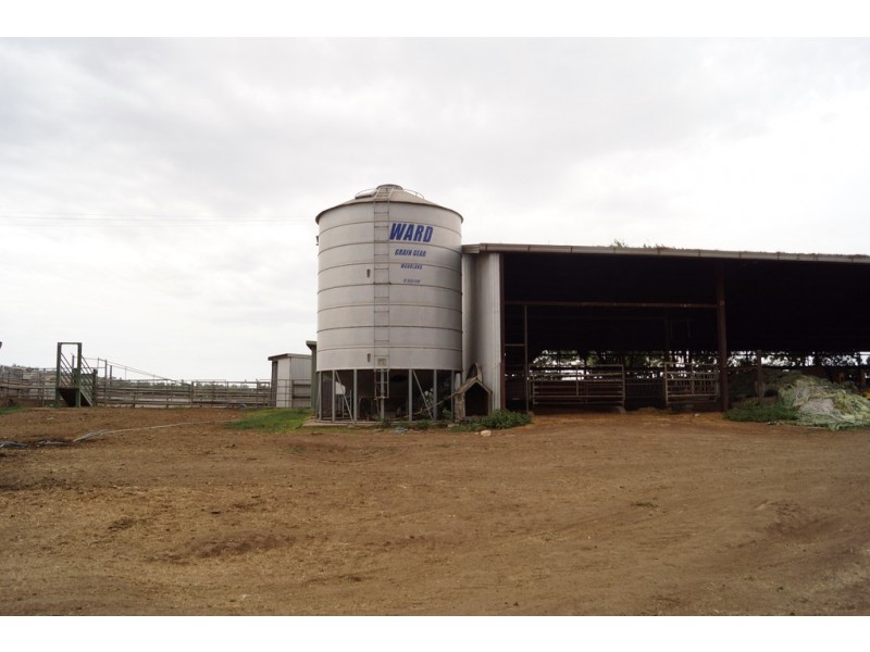 Narelle Park Segenhoe Road, Aberdeen NSW 2336