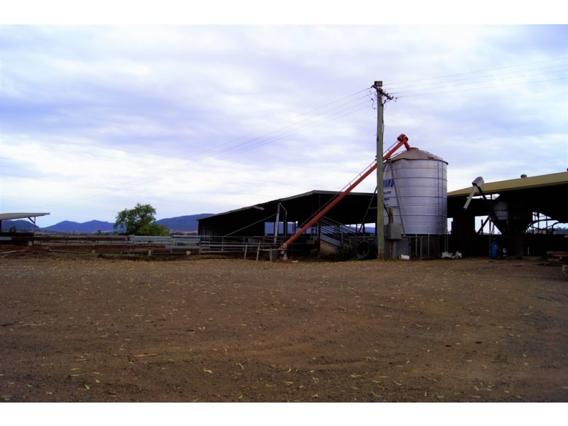 Narelle Park Segenhoe Road, Aberdeen NSW 2336