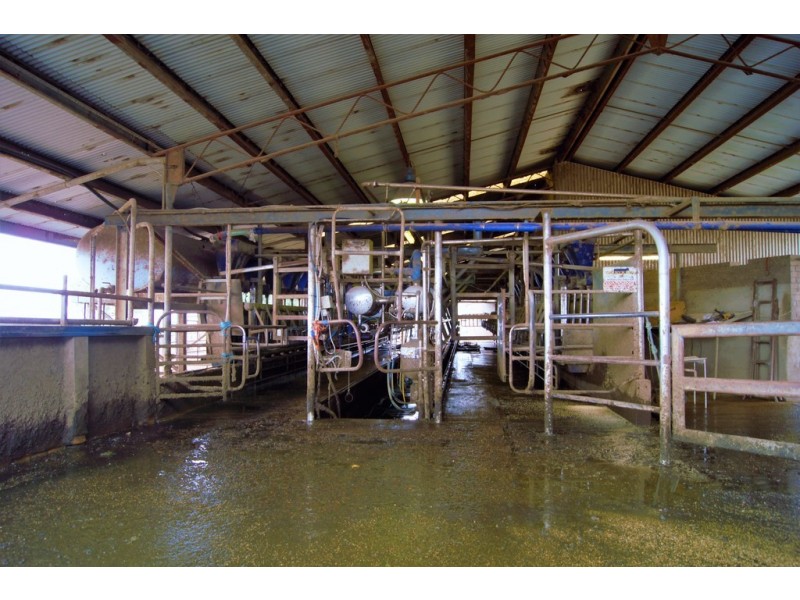 Narelle Park Segenhoe Road, Aberdeen NSW 2336