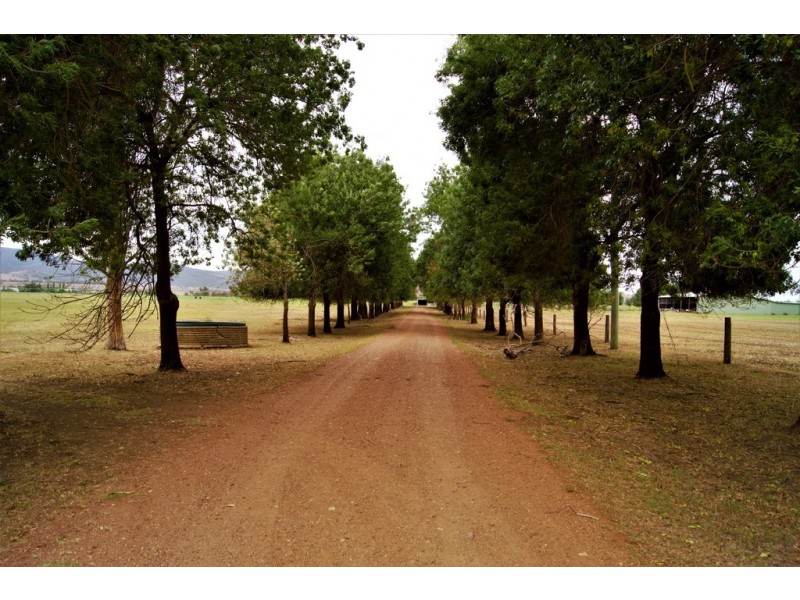 Narelle Park Segenhoe Road, Aberdeen NSW 2336