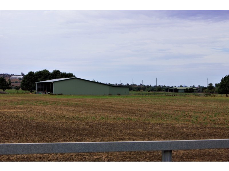 Narelle Park Segenhoe Road, Aberdeen NSW 2336