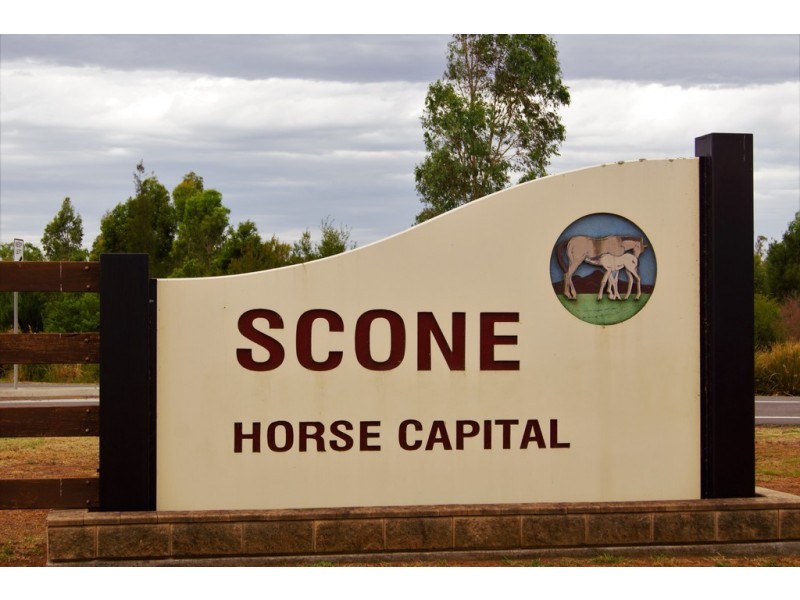 Narelle Park Segenhoe Road, Aberdeen NSW 2336