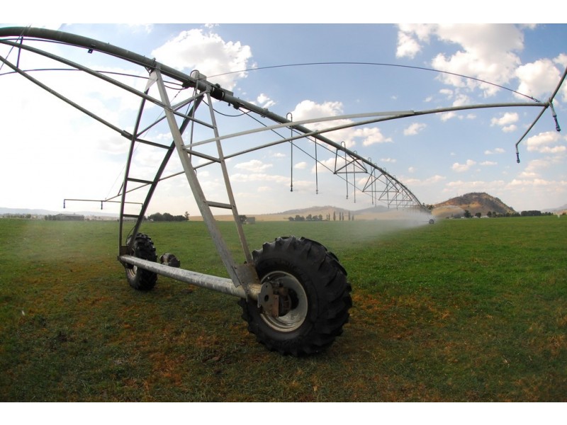 Narelle Park Segenhoe Road, Aberdeen NSW 2336