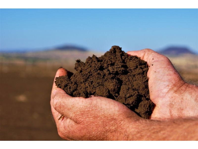 Duraba 314 Pine Cliff Road, Gunnedah NSW 2380