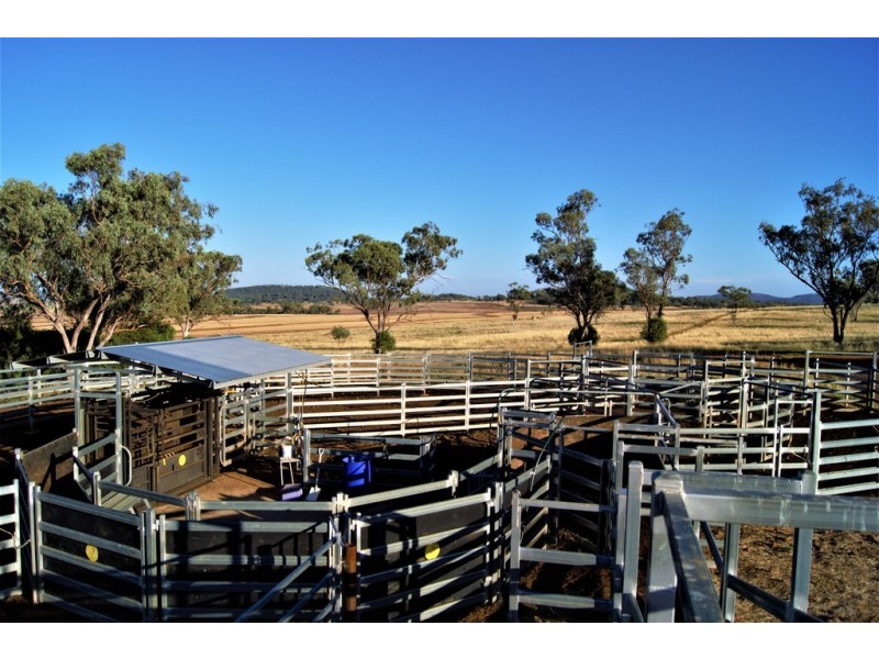 Duraba 314 Pine Cliff Road, Gunnedah NSW 2380