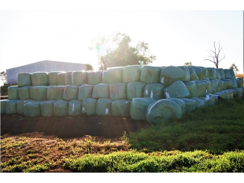 Duraba 314 Pine Cliff Road, Gunnedah NSW 2380