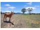 1452 Manilla Road, Tamworth NSW 2340