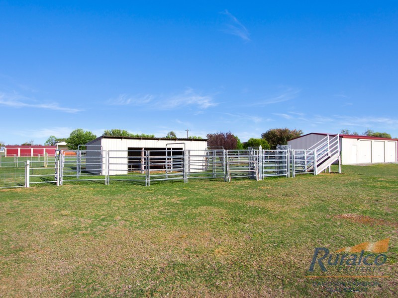 19a Kurrawan Street, Tamworth NSW 2340