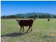 19a Kurrawan Street, Tamworth NSW 2340