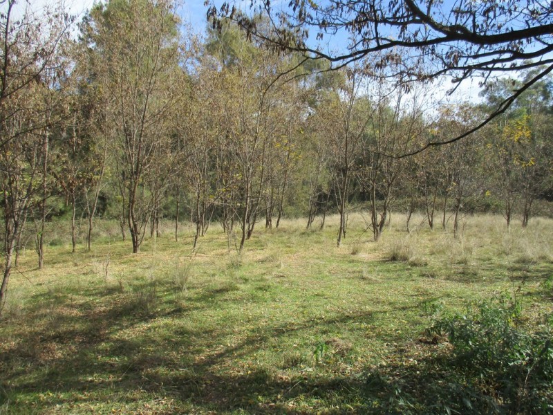 Little Haven Barraba, Bundarra Road, Barraba NSW 2347