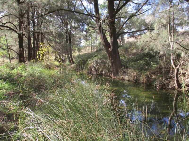 Little Haven Barraba, Bundarra Road, Barraba NSW 2347