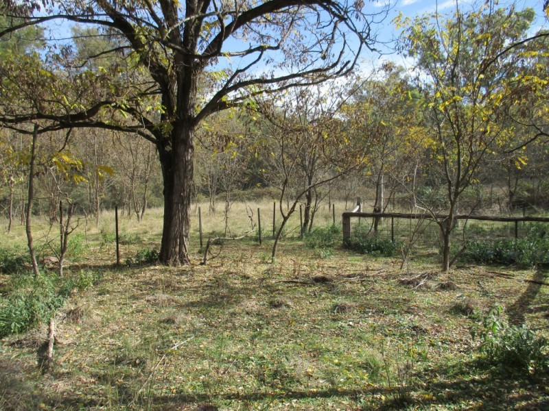 Little Haven Barraba, Bundarra Road, Barraba NSW 2347