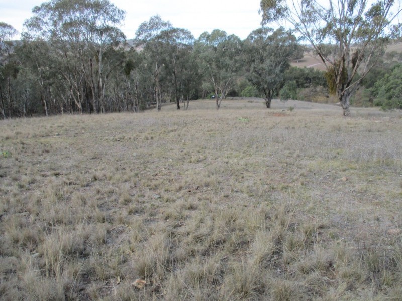 Little Haven Barraba, Bundarra Road, Barraba NSW 2347