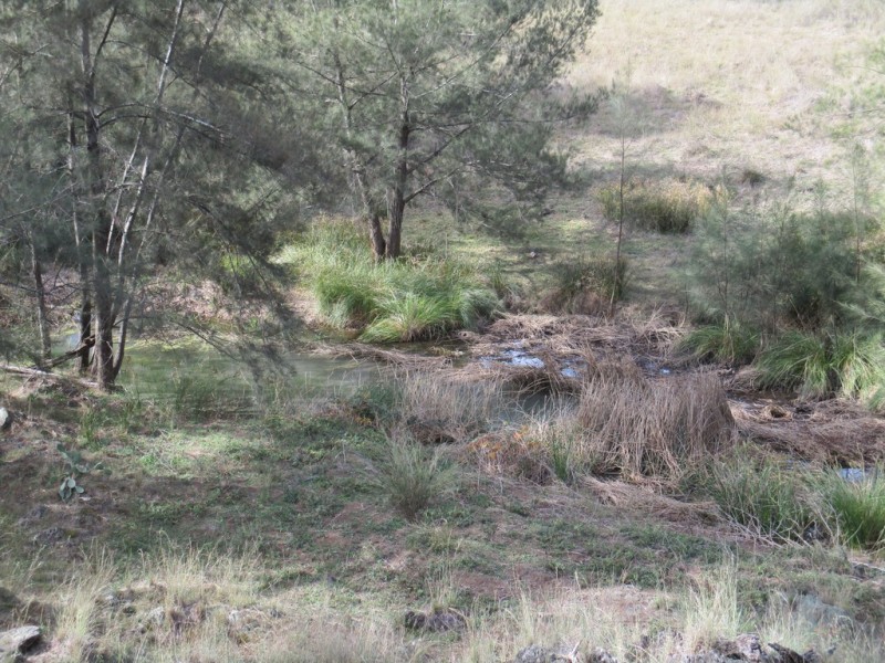 Little Haven Barraba, Bundarra Road, Barraba NSW 2347