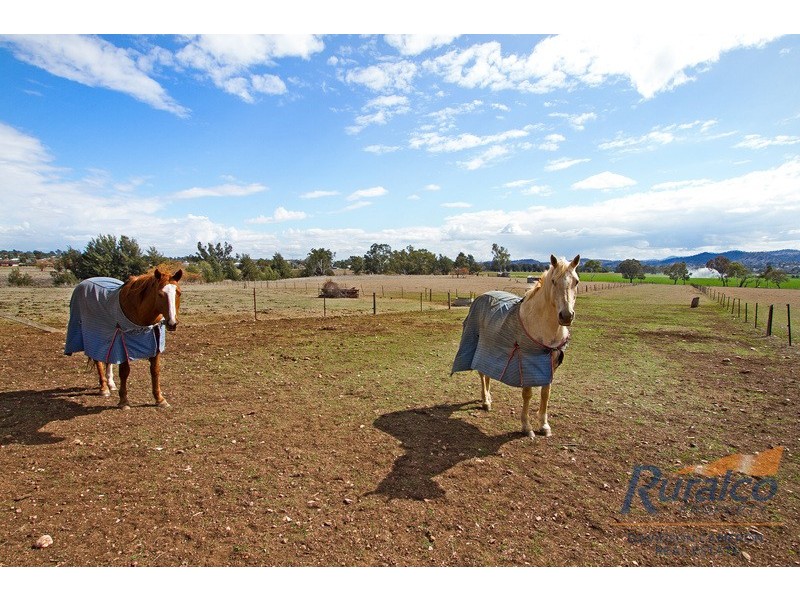 “Greenacres” Calala Lane, Tamworth NSW 2340