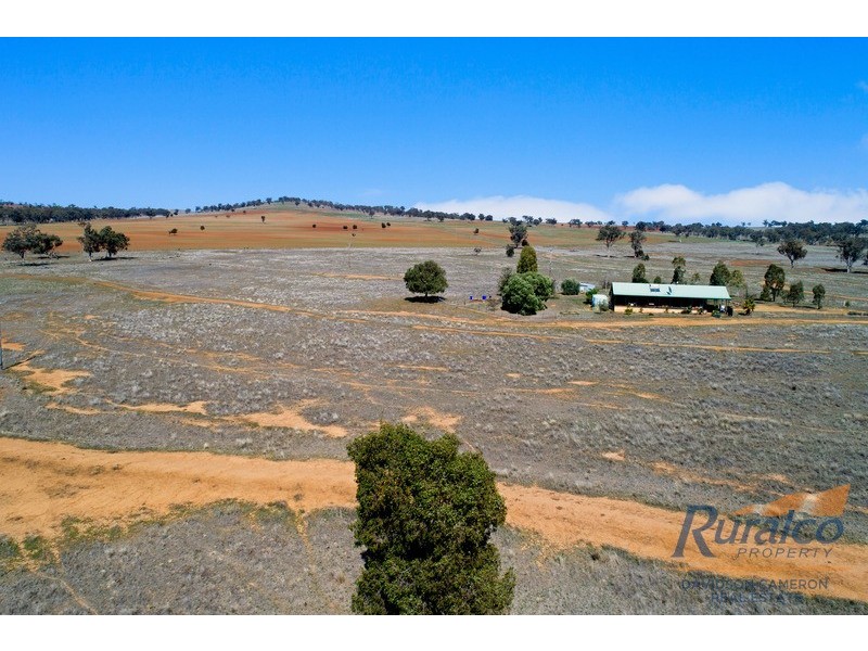 121 Glenbrook Road, Manilla NSW 2346