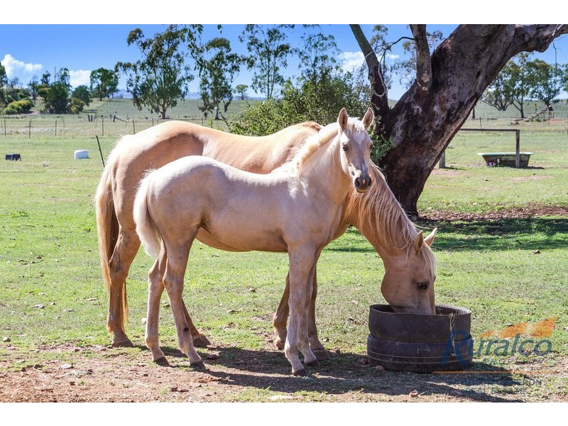 73 – 83 Scotland Road, Somerton, Tamworth NSW 2340