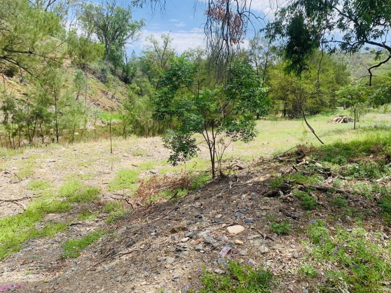 1362 Limbri Road, Limbri NSW 2352