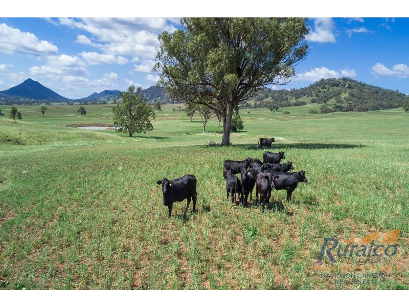 1855 Duri Winton Road, Winton, Tamworth NSW 2340