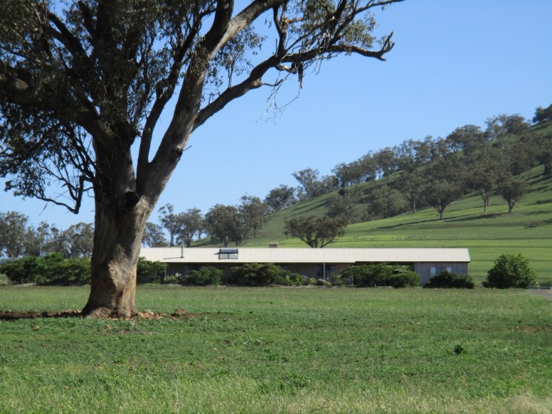 1855 Duri Winton Road, Winton, Tamworth NSW 2340