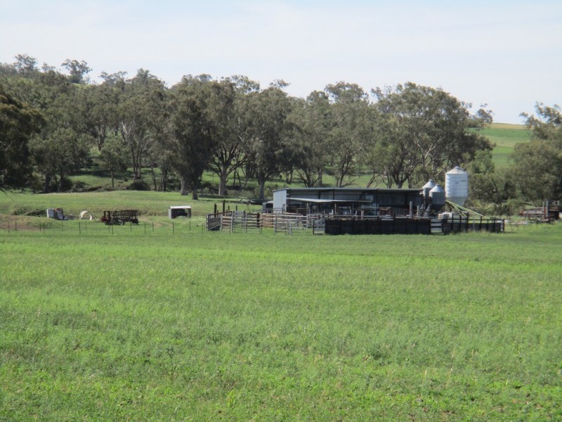 1855 Duri Winton Road, Winton, Tamworth NSW 2340