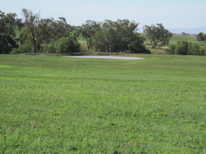 1855 Duri Winton Road, Winton, Tamworth NSW 2340