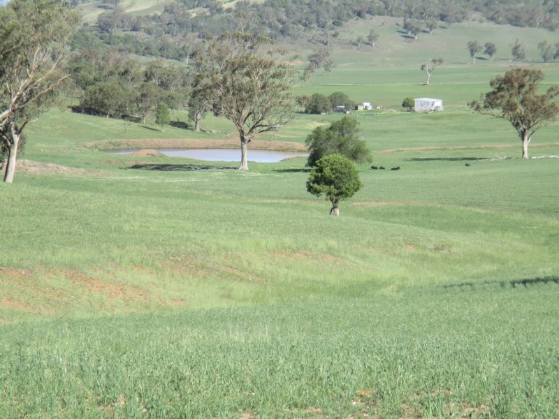 1855 Duri Winton Road, Winton, Tamworth NSW 2340