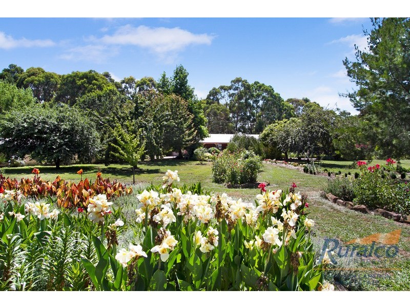 11 Andeva Road, Hanging Rock NSW 2340