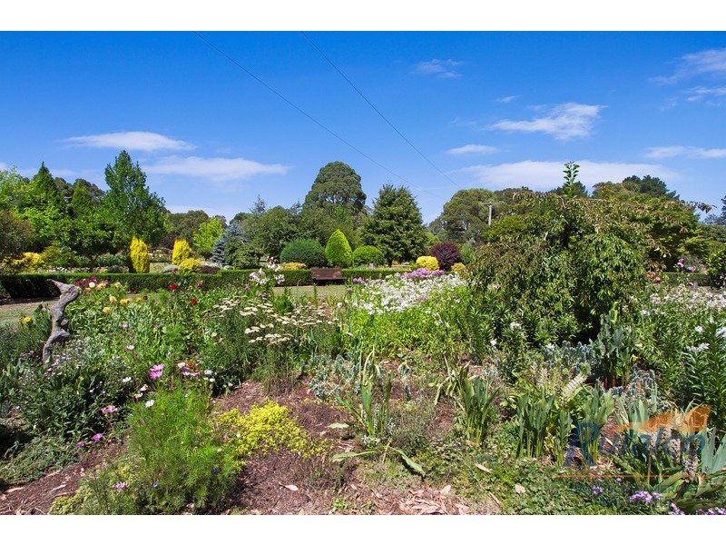 11 Andeva Road, Hanging Rock NSW 2340