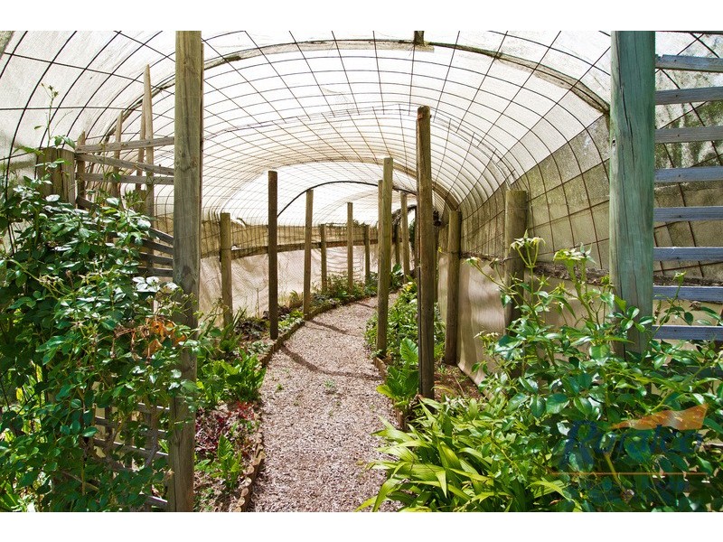 11 Andeva Road, Hanging Rock NSW 2340