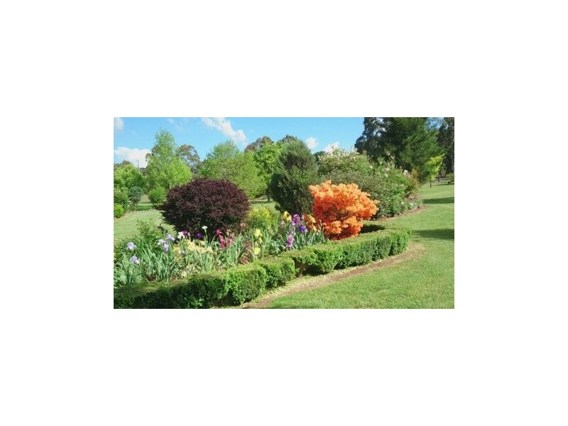 11 Andeva Road, Hanging Rock NSW 2340