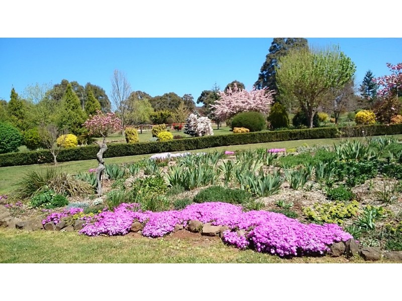 11 Andeva Road, Hanging Rock NSW 2340