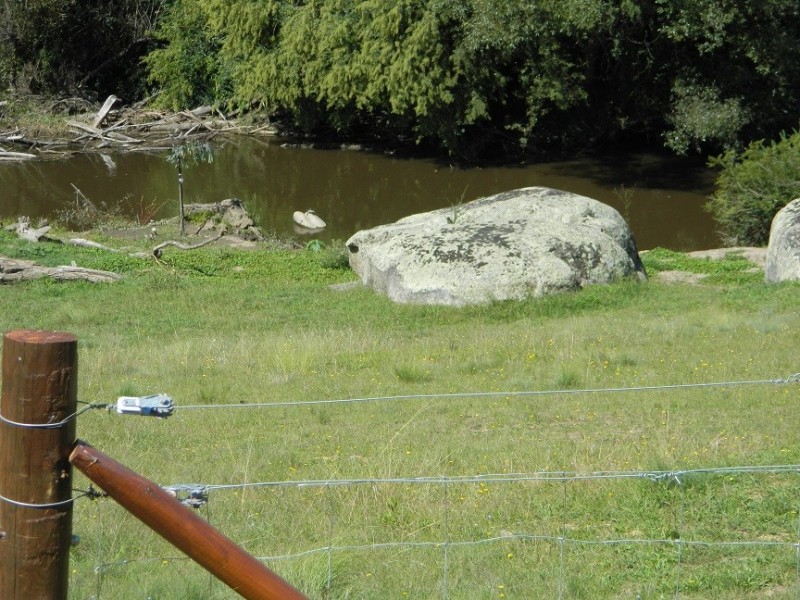 36 Caroline Street, Bendemeer NSW 2355